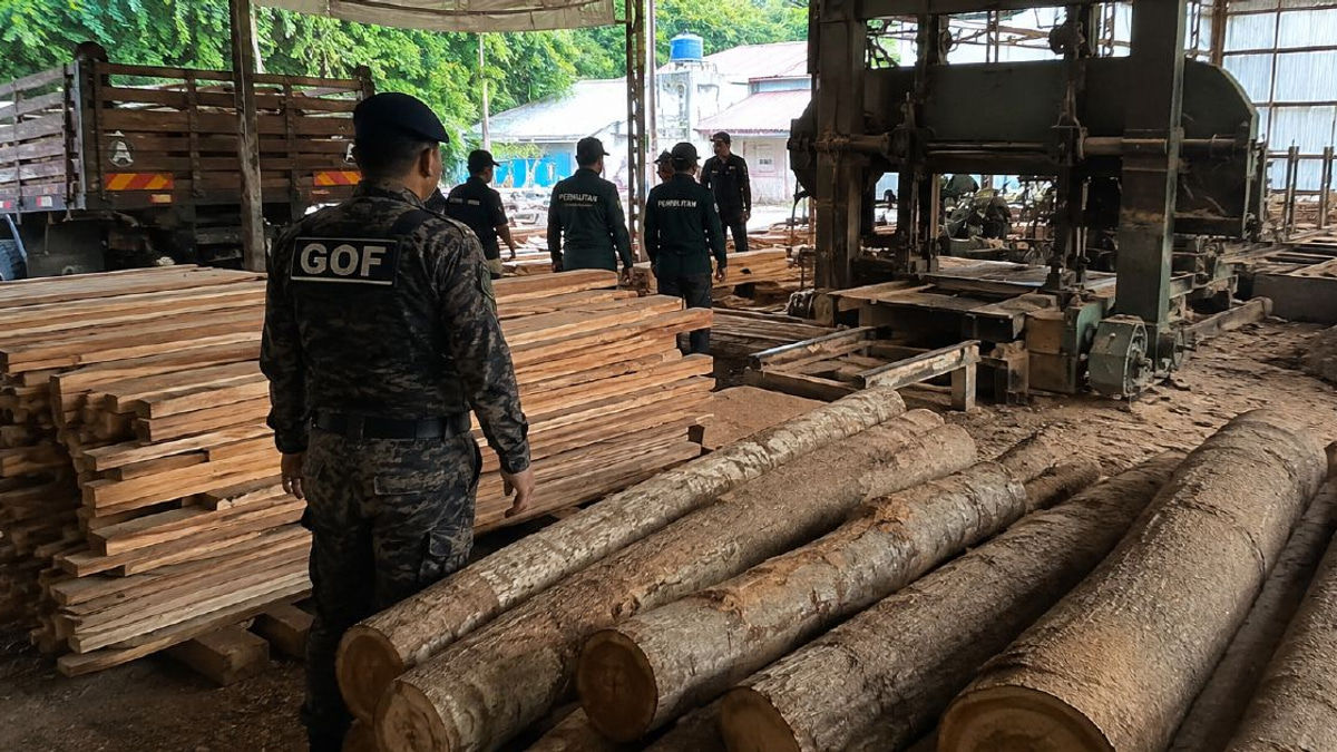 Enforcement officers seize RM640,510 in timber and machinery from illegal Terengganu sawmill operation
