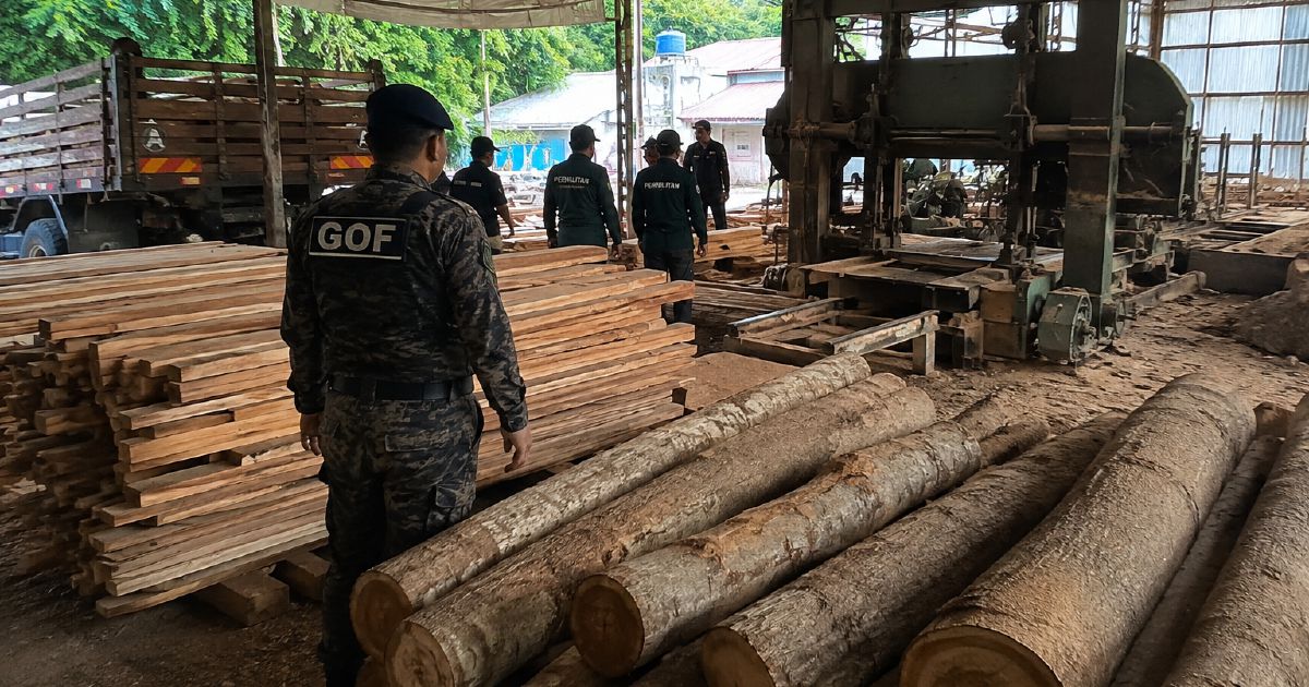 Enforcement officers seize RM640,510 in timber and machinery from illegal Terengganu sawmill operation