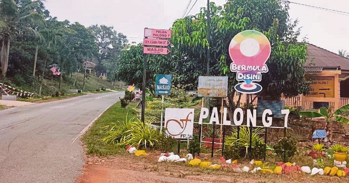 MACC examines files in Felda Palong 7 palm replanting inquiry