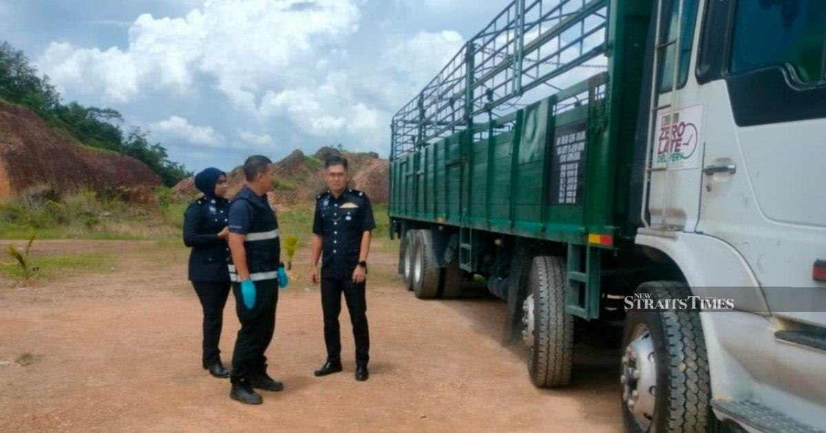 Grandfather detained over death of toddler struck by reversing lorry in Kedah