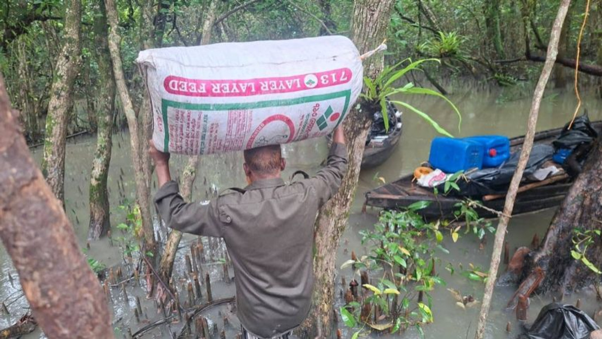 Bangladesh authorities bust illegal poison-tainted shrimp operation in UNESCO Sundarbans