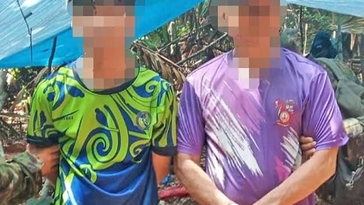 Brunei Detains Two Foreign Nationals Over Agarwood Theft in Protected Forest