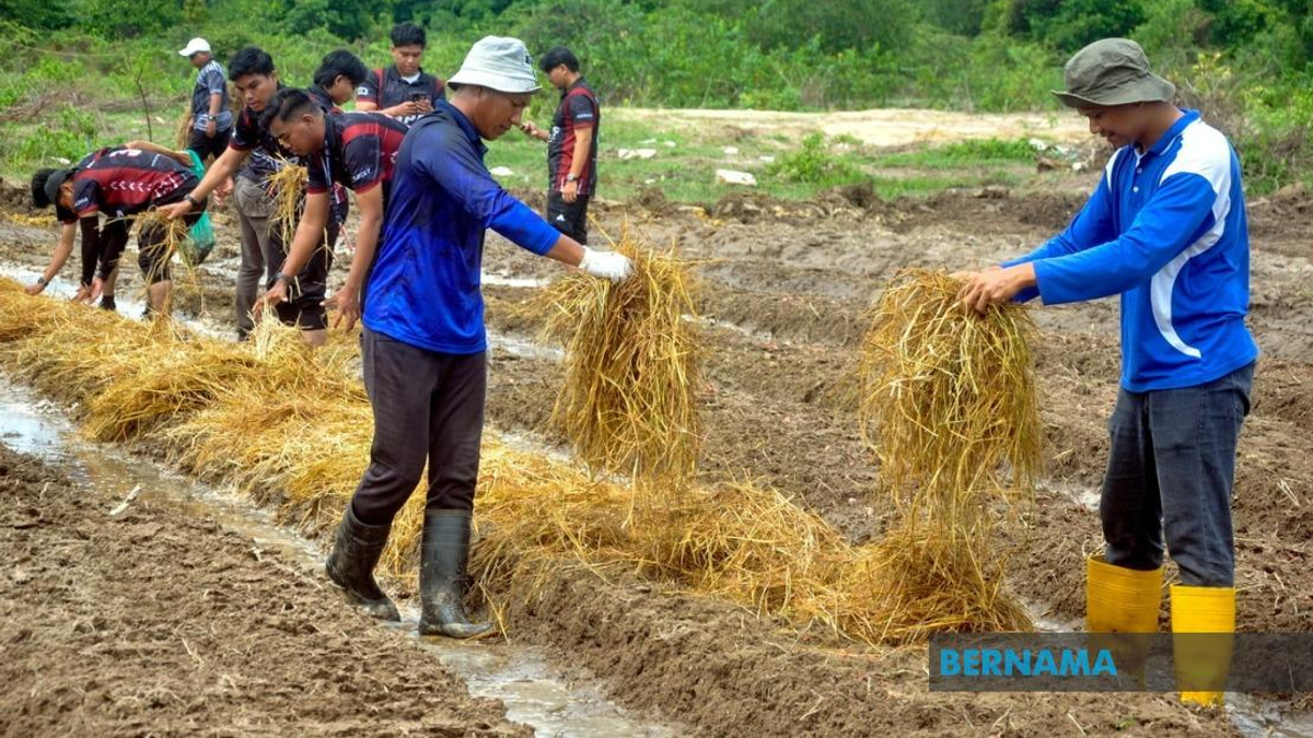 Agricultural TVET Graduates See Strong Employment Gains, Though Sector Still Lags National Average