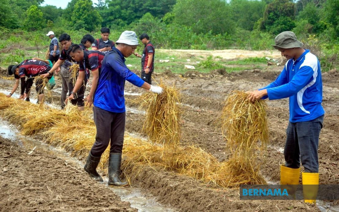 Agricultural TVET Graduates See Strong Employment Gains, Though Sector Still Lags National Average