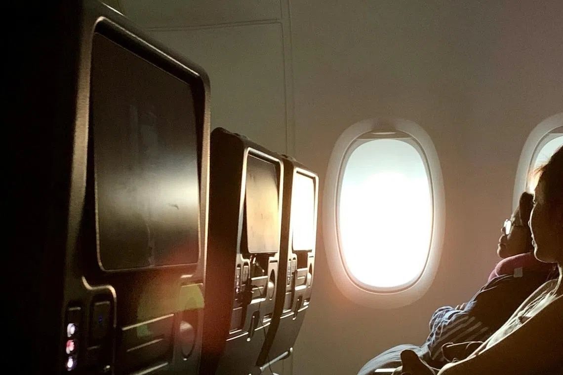 South Korean teenager petitions government over unfiltered in-flight entertainment exposure