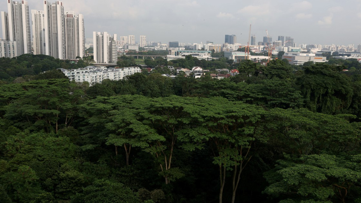 Singapore arrests three self-radicalised teenagers plotting violent attacks
