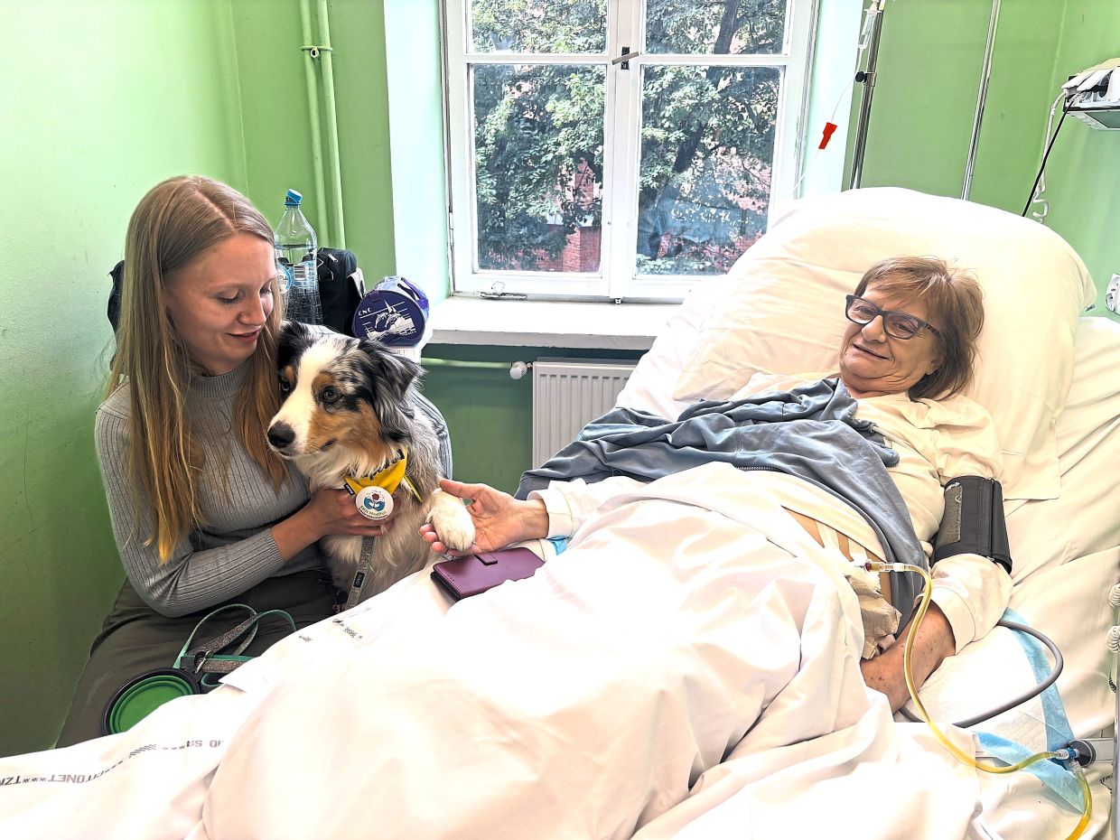 Poland moves to guarantee terminal patients' right to pet visits in hospices