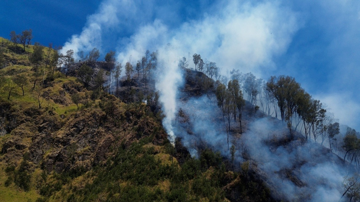 Indonesia Shuts Mount Bromo to Tourists as Wildfire Ravages East Java National Park