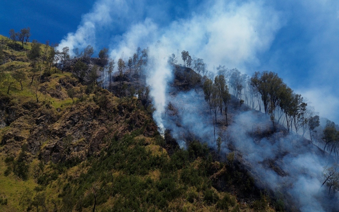 Indonesia Shuts Mount Bromo to Tourists as Wildfire Ravages East Java National Park