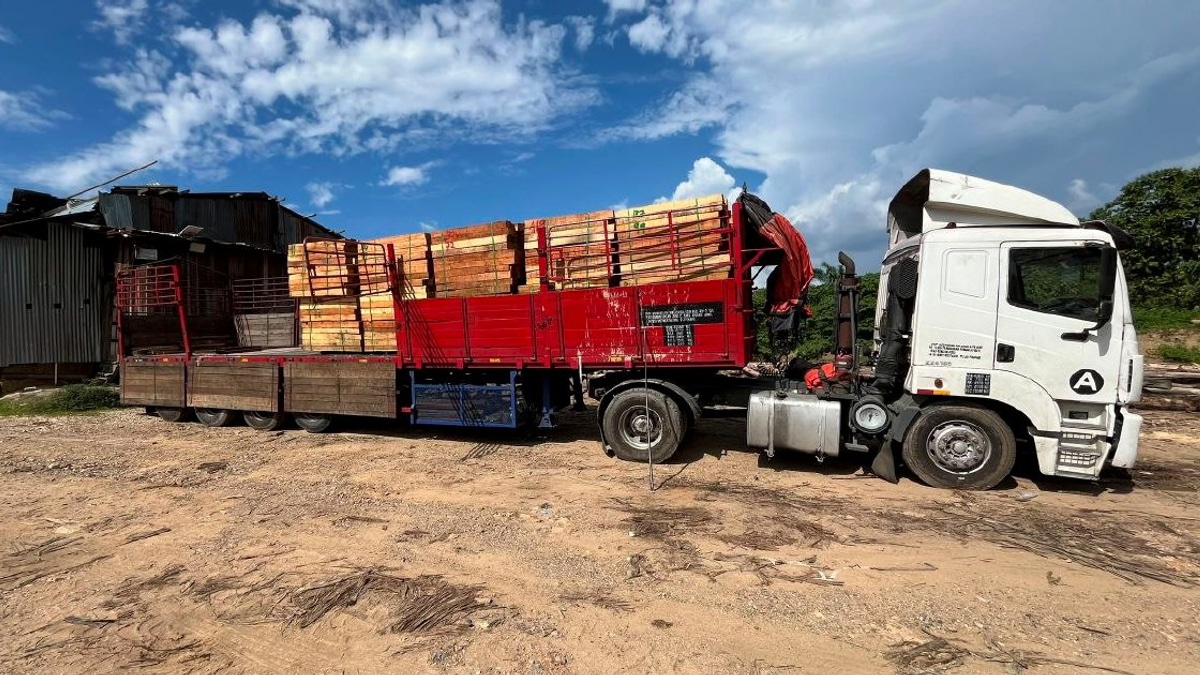 Five arrested in major timber smuggling bust; RM2.32 million in assets seized