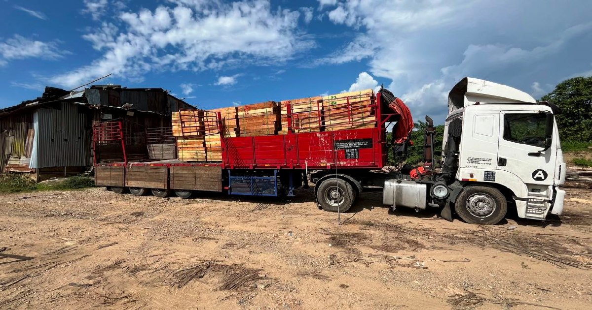 Five arrested in major timber smuggling bust; RM2.32 million in assets seized