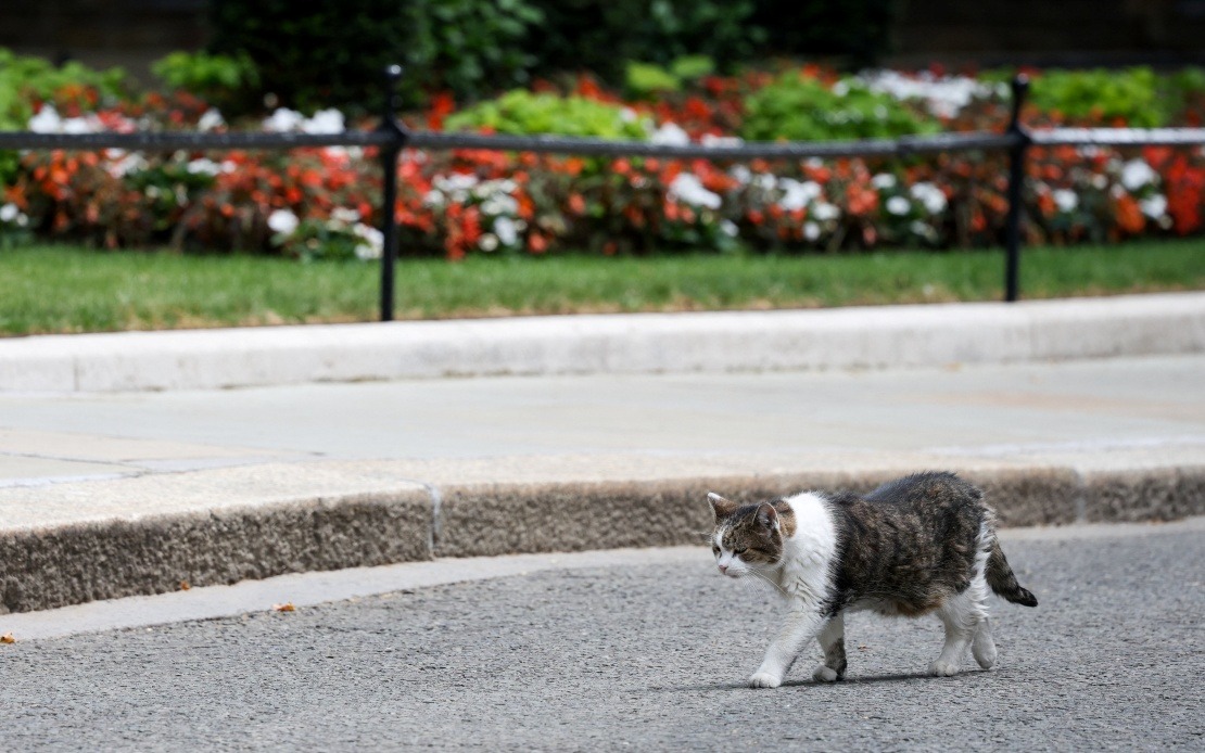 Larry the Cat Outlasts Six British Prime Ministers at 10 Downing Street
