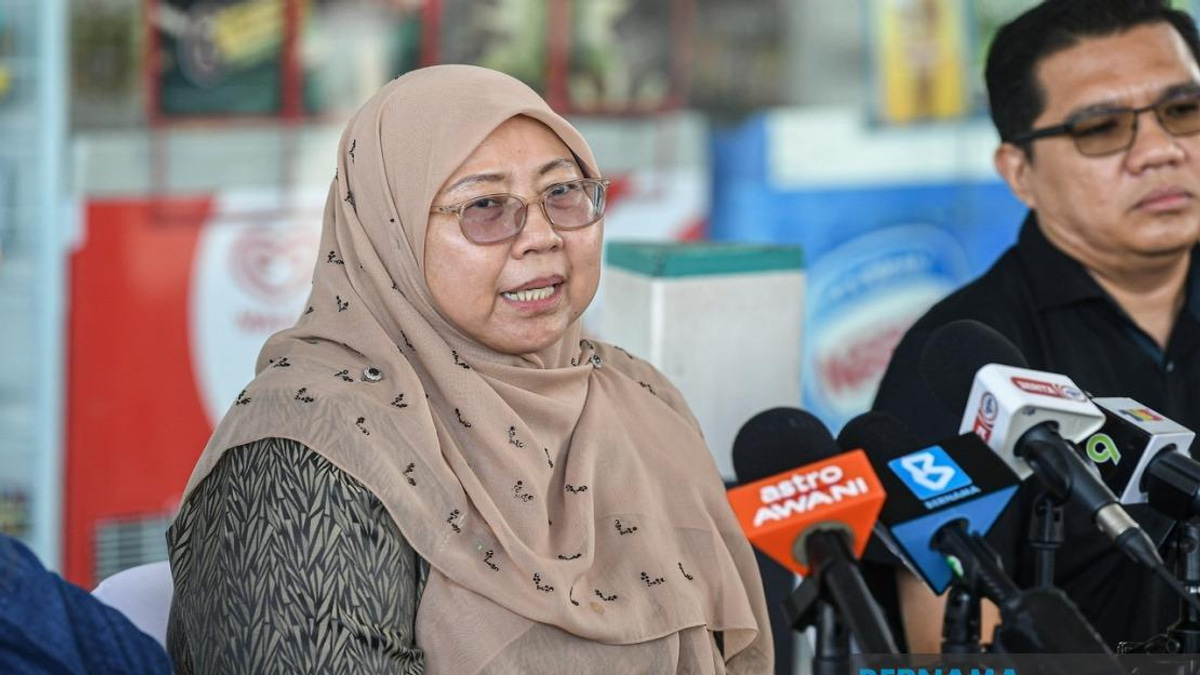 Minor Sabotage Acts Won't Derail PH's Johor Campaign, Says Fuziah