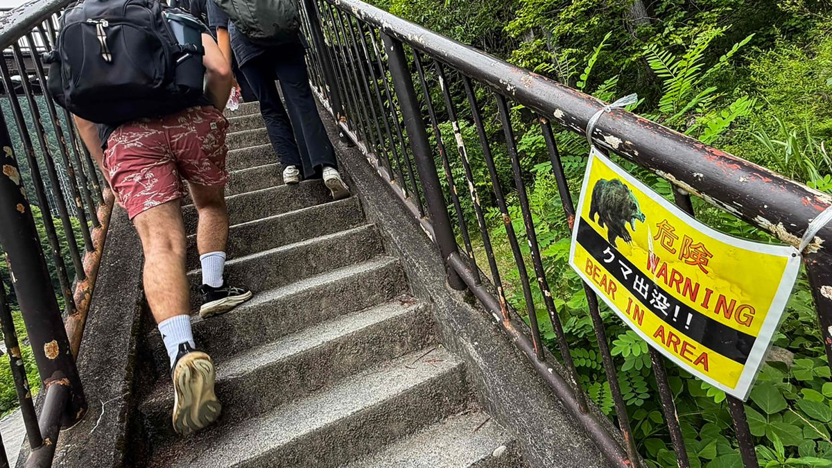 Japan deploys hundreds of cameras to track surging bear attacks in mountain regions