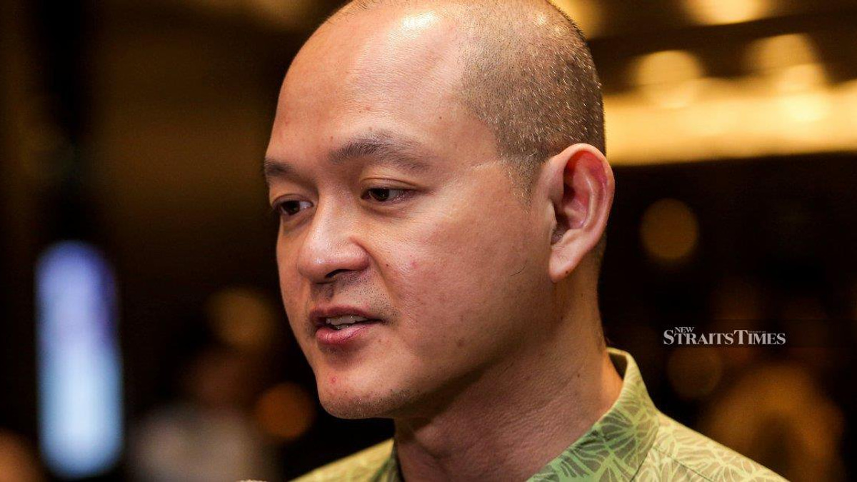Ex-DAP MP backs withdrawal from cabinet as party congress looms