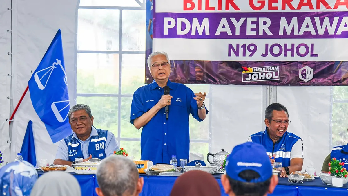Strong Negeri Sembilan Performance Could Cement BN-PN Coalition Strategy for Future Elections, Says Ismail Sabri