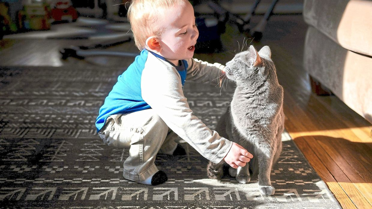 Swedish study finds living with cats does not worsen childhood asthma