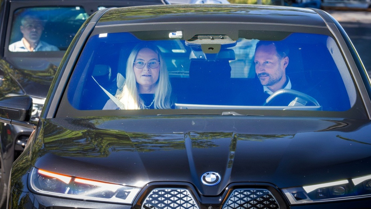 Norwegian King Harald's Health Deteriorates as Palace Issues 'Very Serious' Warning