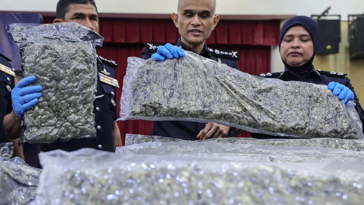 Major Drug Bust at KLIA: 650kg Cannabis Seized, 38 Arrested in Ongoing Trafficking Crackdown