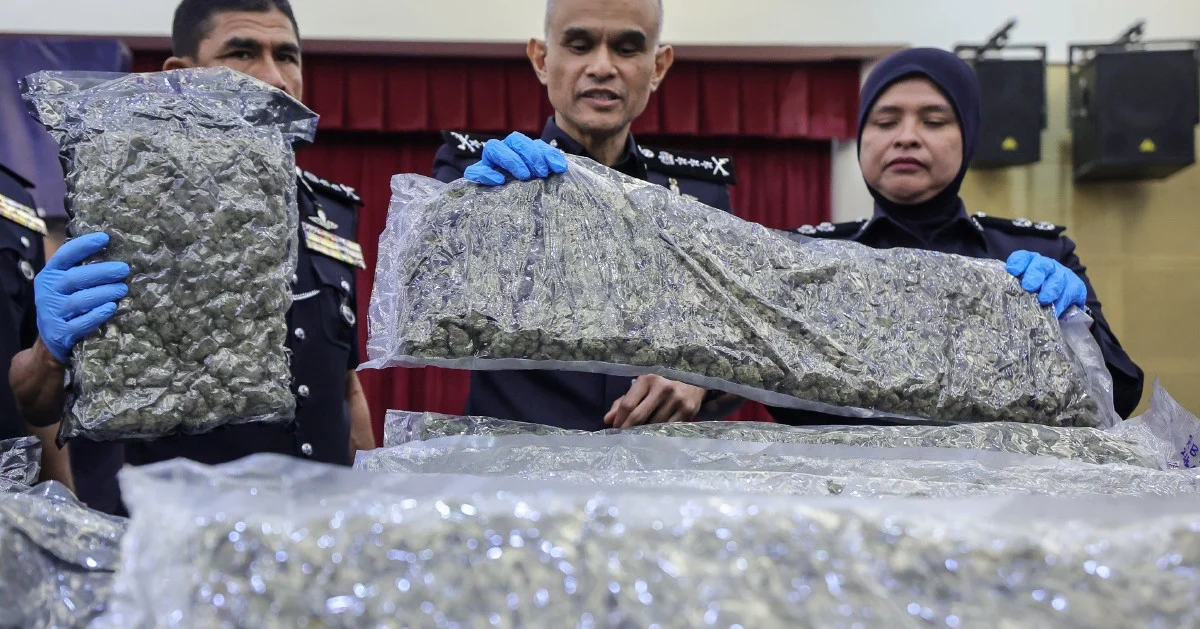 Major Drug Bust at KLIA: 650kg Cannabis Seized, 38 Arrested in Ongoing Trafficking Crackdown