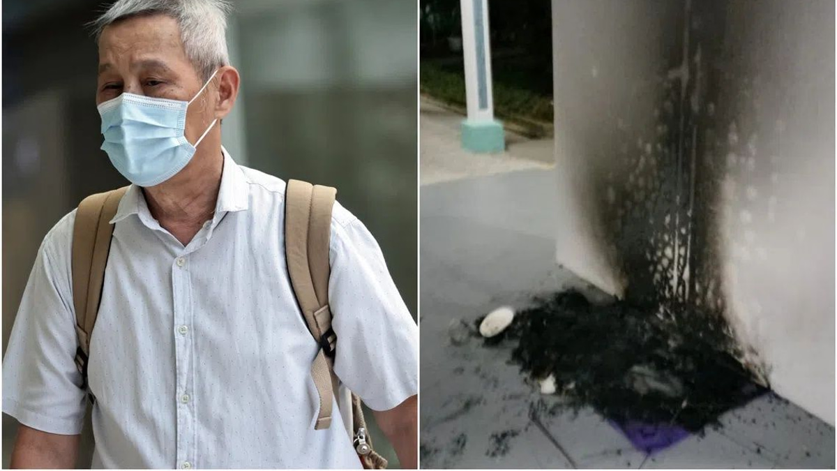 Singapore Man Jailed Three Months for Burning Community Cat Houses in Bukit Batok