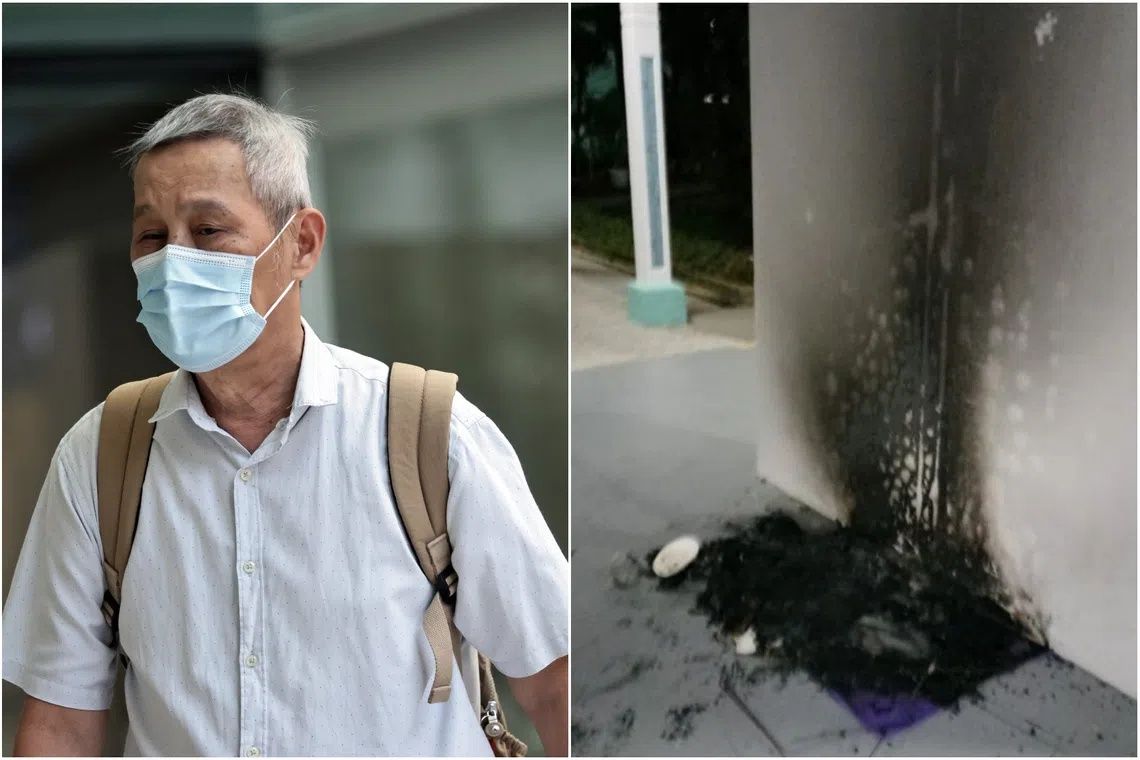 Singapore Man Jailed Three Months for Burning Community Cat Houses in Bukit Batok