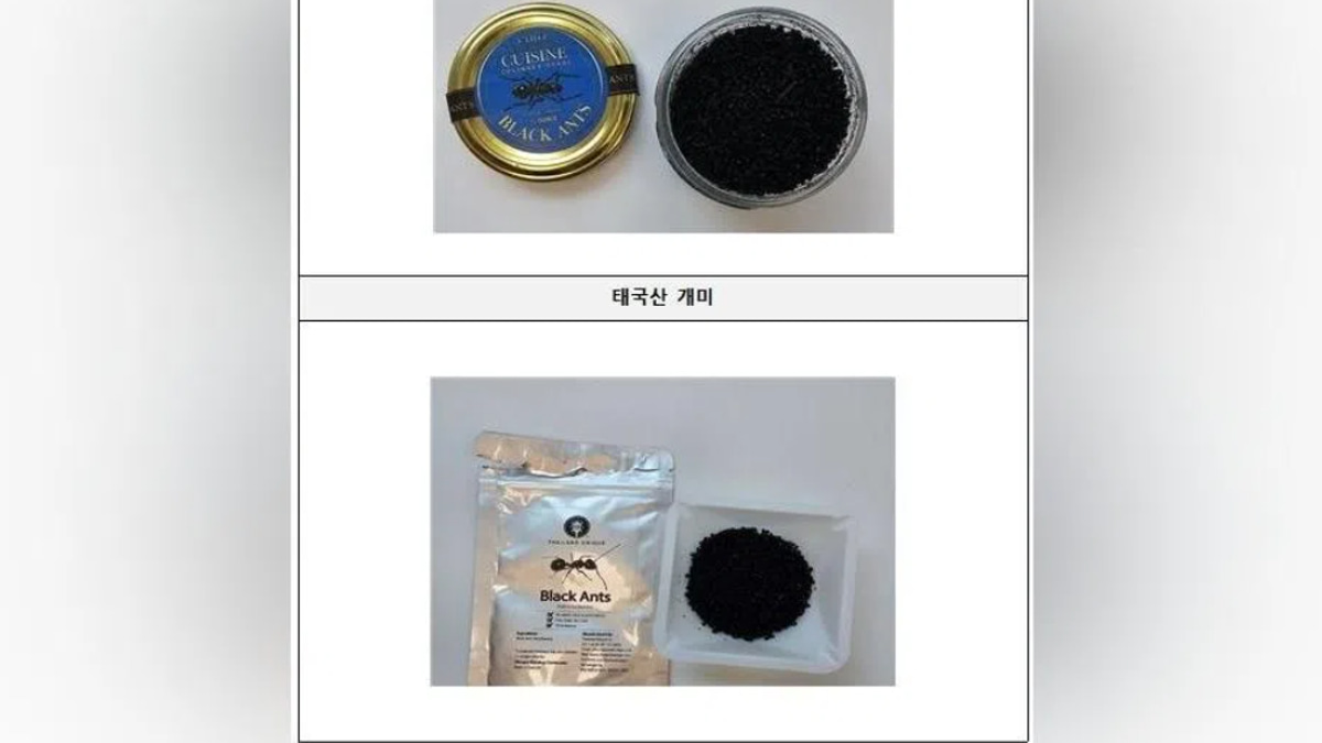 South Korean Michelin-starred chef faces prison for serving unapproved black ants on sorbet