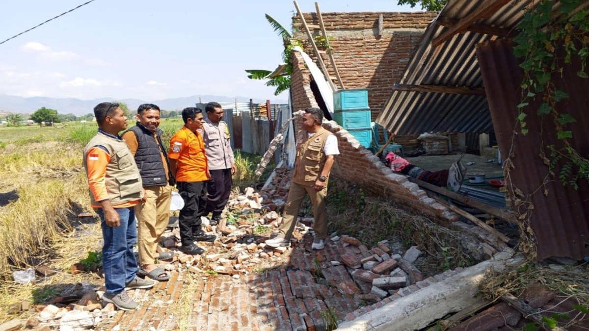 Death Toll Reaches 38 as Indonesia's Flores Island Battles Earthquake Aftermath