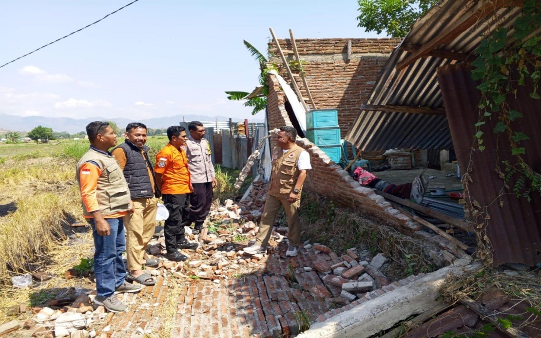 Death Toll Reaches 38 as Indonesia's Flores Island Battles Earthquake Aftermath