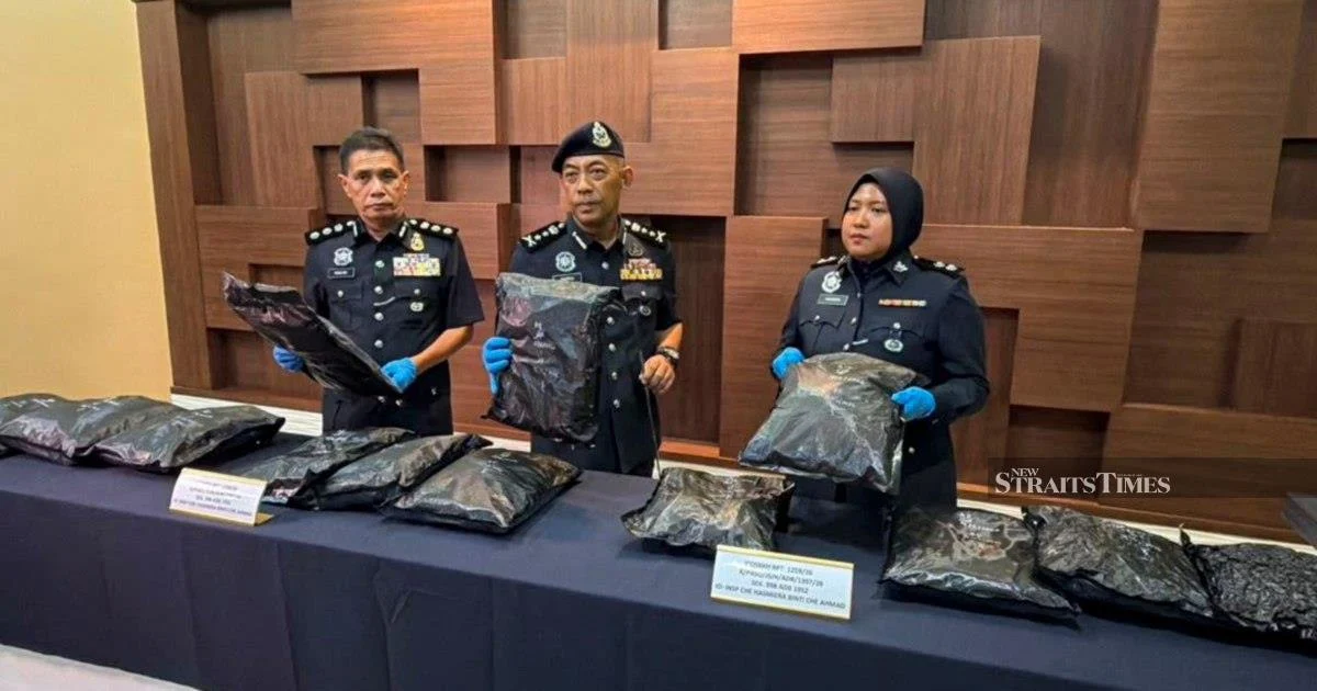 Student Caught Smuggling RM1.17 Million Cannabis Haul at Kedah Border