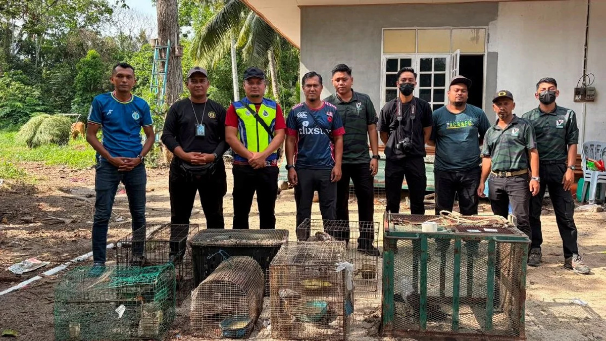 Teen nabbed with RM48,500 in protected wildlife across multiple species