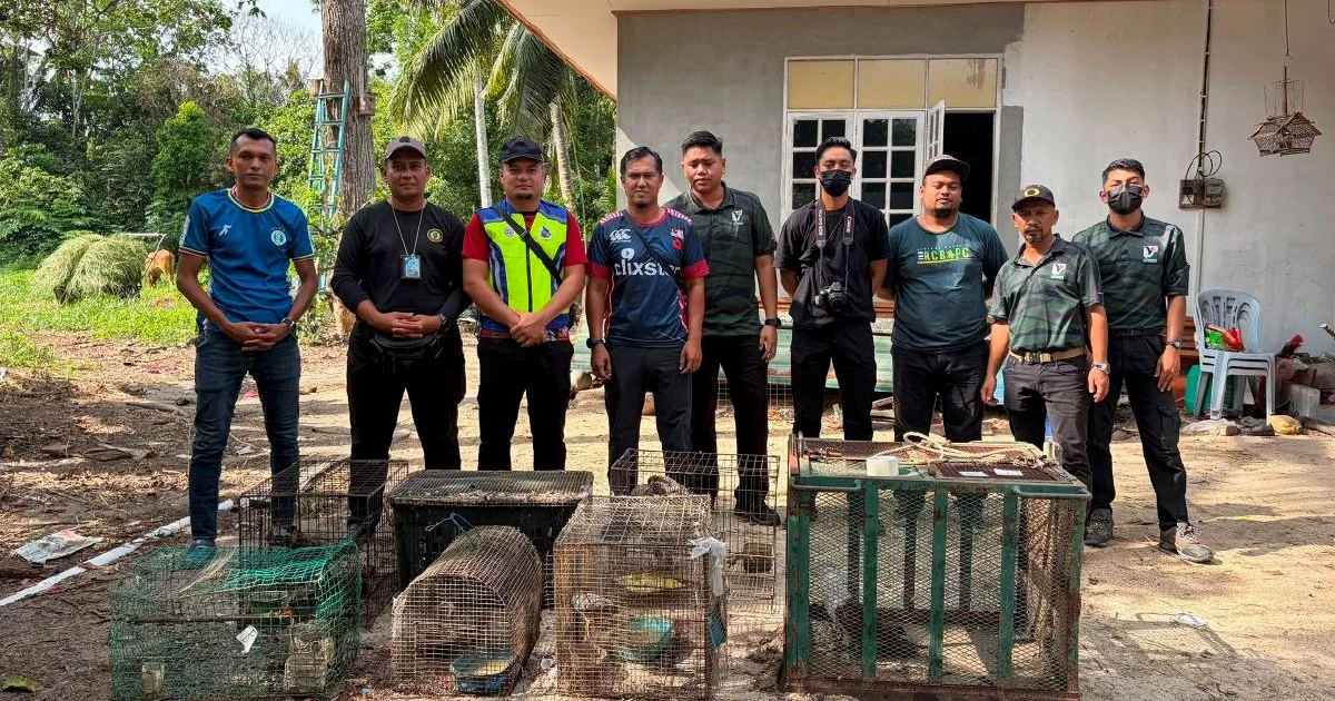 Teen nabbed with RM48,500 in protected wildlife across multiple species