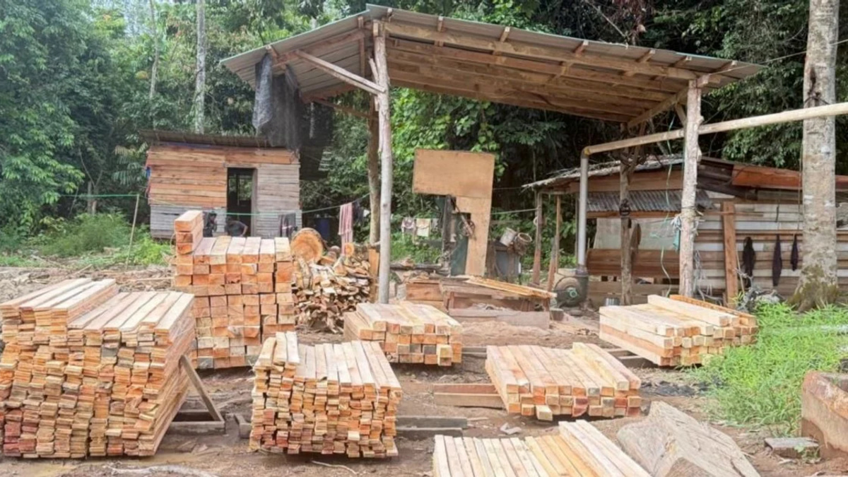 Police raid illegal sawmill operation, seize RM1.69 million and detain five suspects