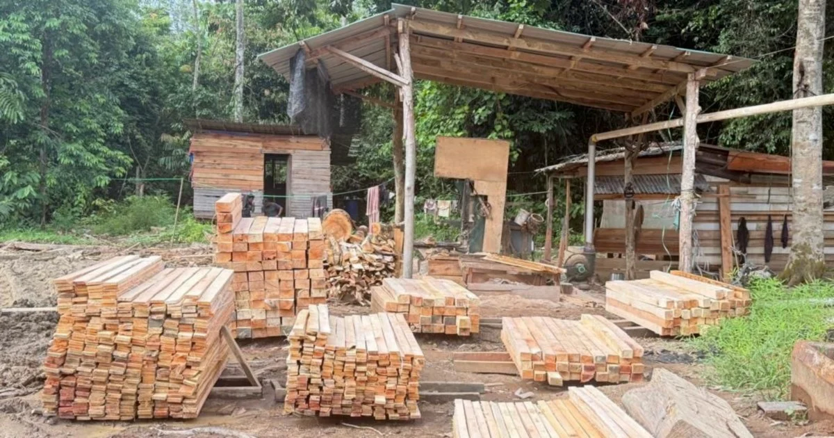 Police raid illegal sawmill operation, seize RM1.69 million and detain five suspects