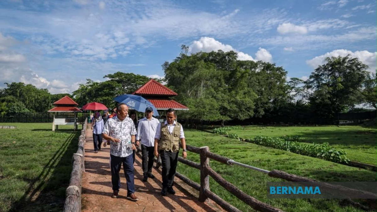 Sabah UMNO Deploys Ground Teams to Support BN in Johor Election