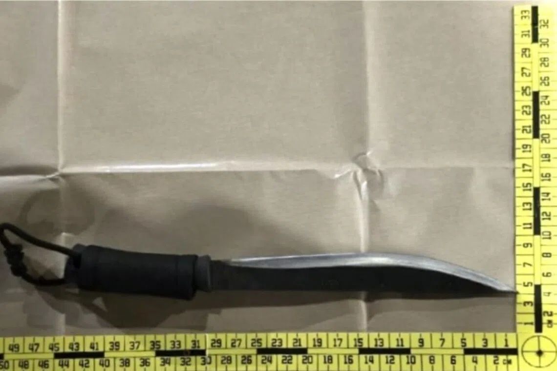 Four arrested in Singapore over armed abduction linked to car rental dispute