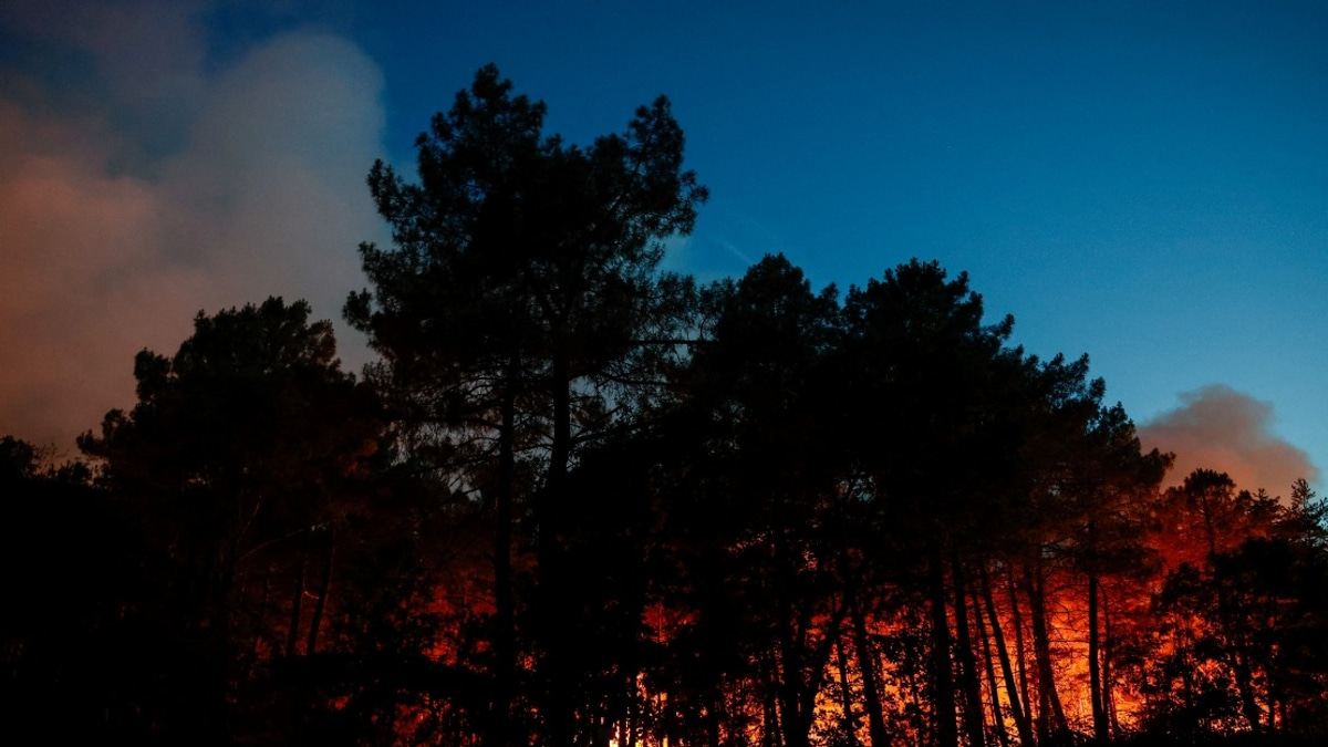 France Battles Unprecedented Wildfire Crisis as 119,000 Hectares Consumed