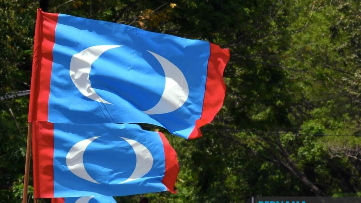 PKR Must Look Inward, Not Blame Voters for Election Setbacks, Says Youth Wing