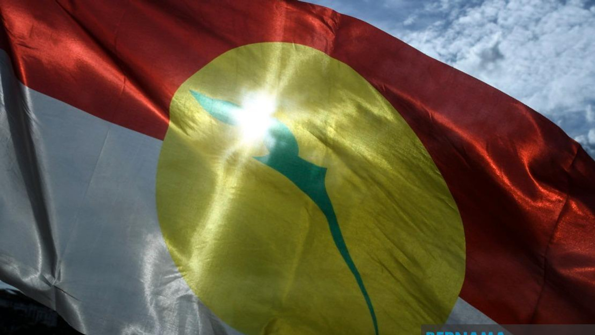 UMNO Members Must Put Party Interests First in Johor Election, Says Azalina