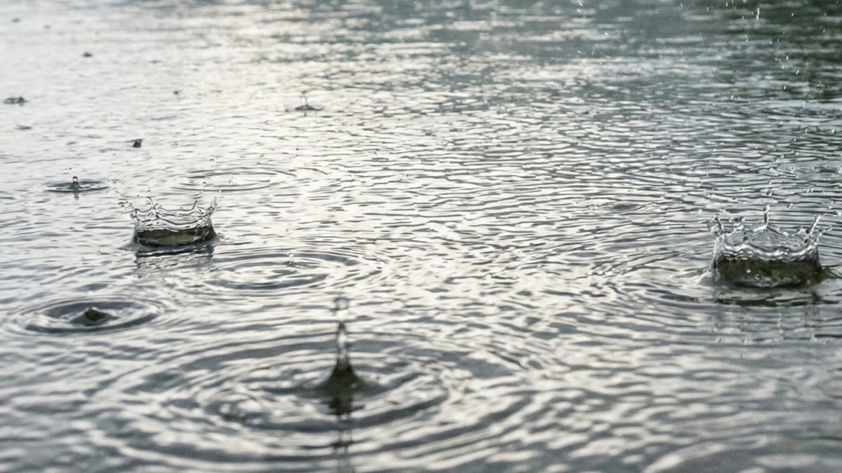 Kentucky Flooding Death Toll Rises to Four as Governor Declares State of Emergency