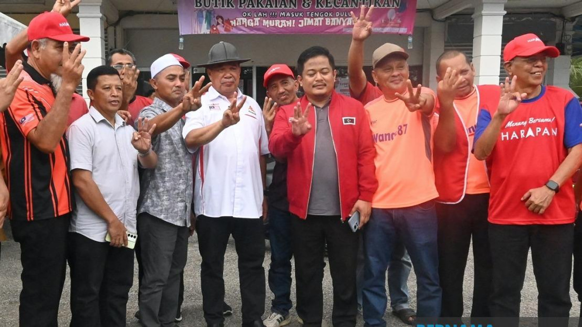 Johor Voters Must Back PH to Deliver on Election Promises, Says Mohamad Sabu