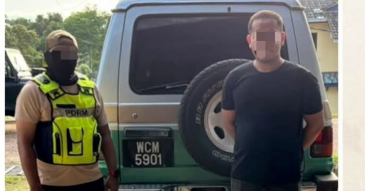 Motorist nabbed with RM6,000 of smuggled bromeliads hidden in SUV