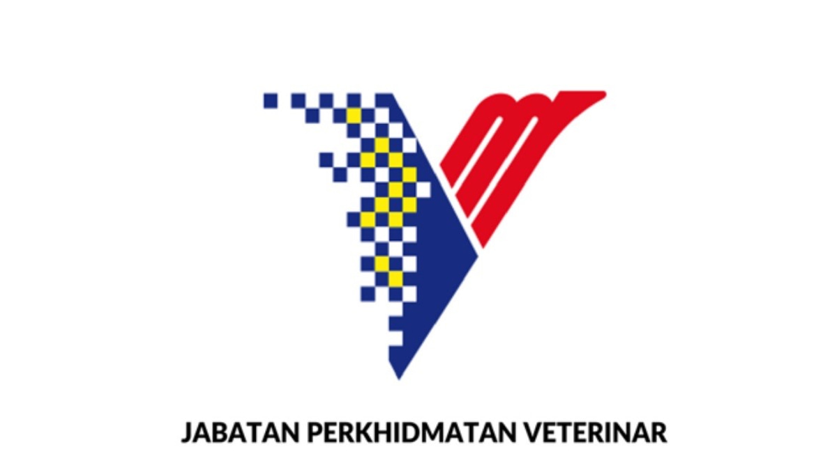 DVS Warns Of Fraudulent Government Order Documents And Fake Supply Schemes