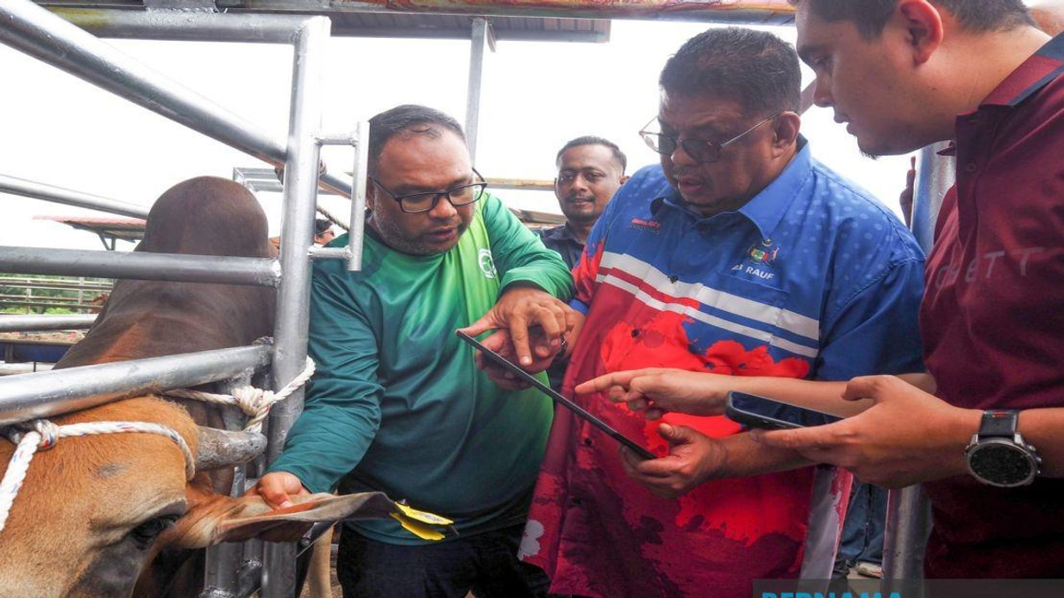Melaka Deploys QR Code Tags to Track Livestock and Curb Stray Animal Incidents