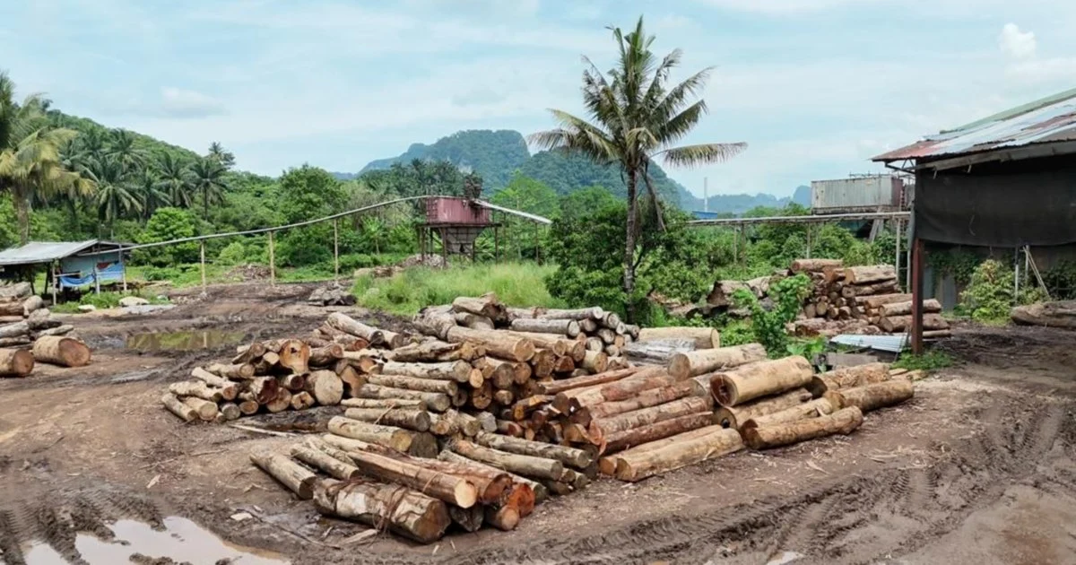 Enforcement team detains 11 and seizes RM2.43 million in timber during Kelantan and Terengganu raids